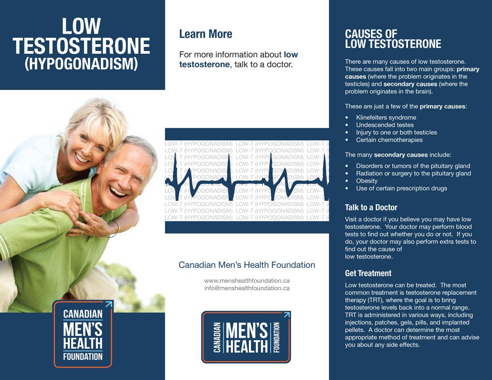 Low Testosterone PDF