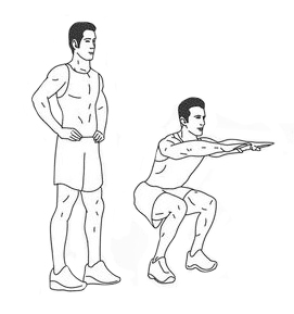 diagram of a man doing a squat