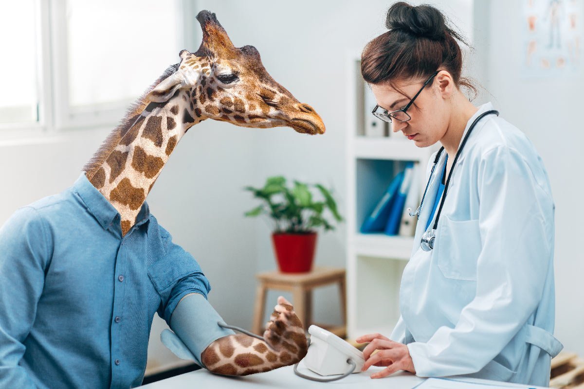 A doctor taking a giraffe's blood pressure