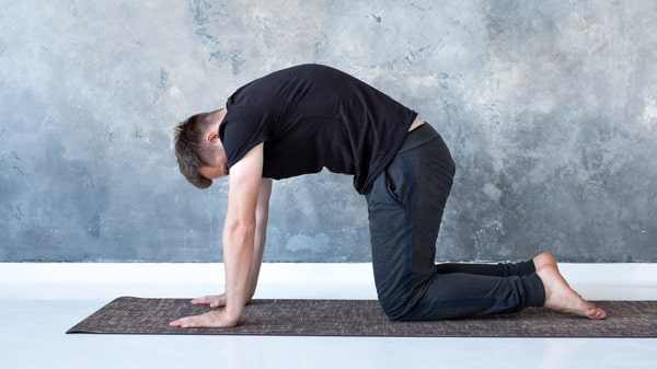 lower back stretches