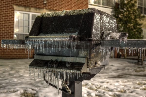 Frozen bbq