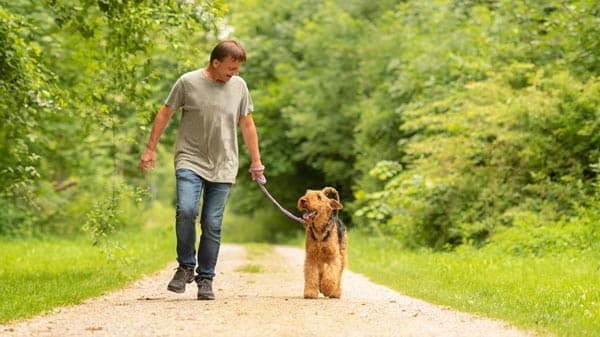 Caveman brain alcohol and stress walking