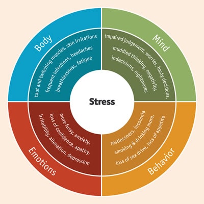 Stress indicators