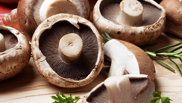 Portabello mushrooms