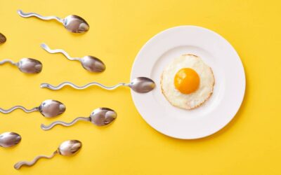 Diet and Male Fertility: What You Need to Know