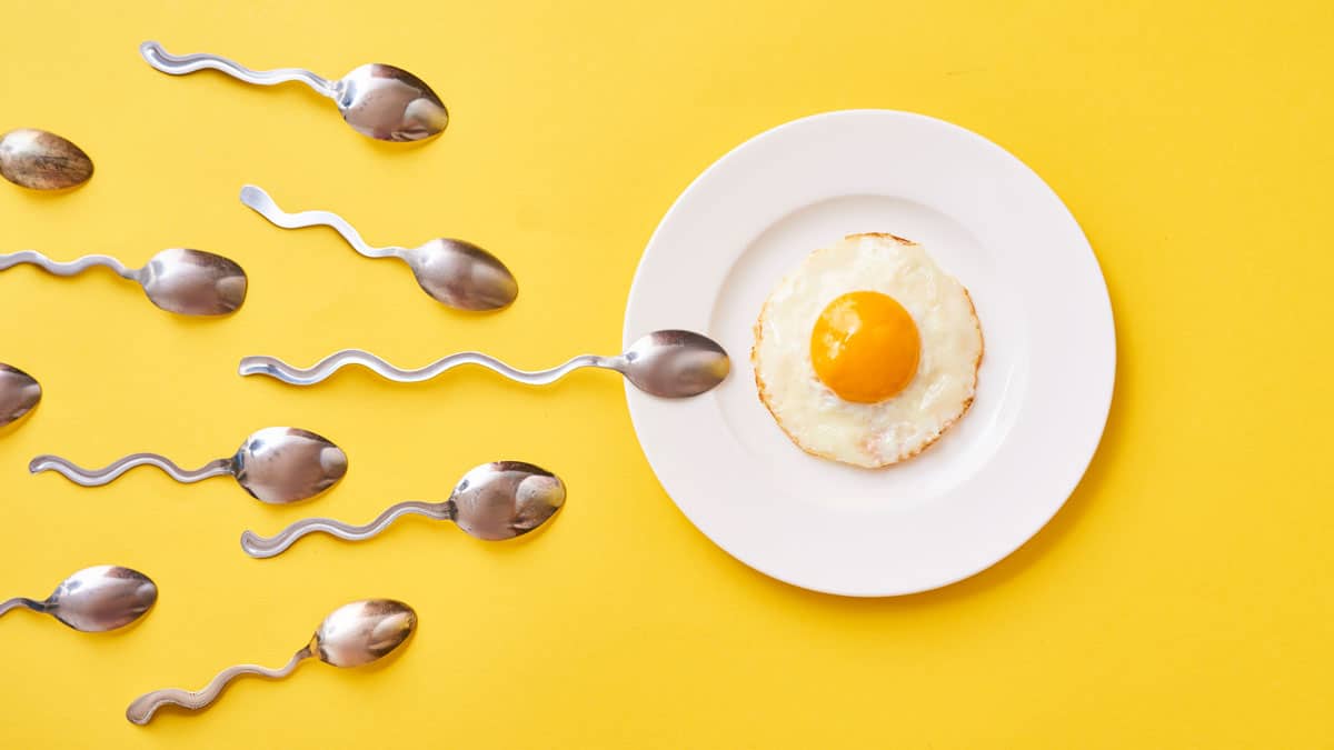 Diet and male fertility: what you need to know