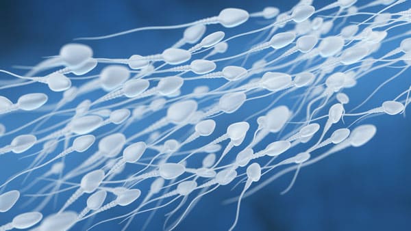 Healthy sperm