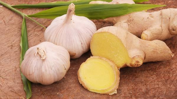 Two garlic bulbs and sliced ginger root