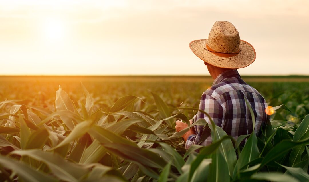 Farming Feeds the Country, But Who’s Supporting Farmers?