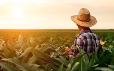 Farming Feeds the Country, But Who’s Supporting Farmers?