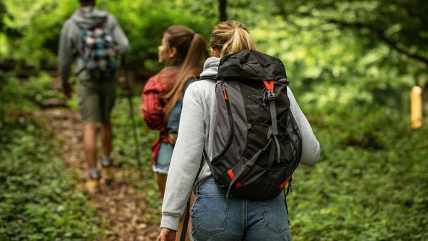 friends-hiking-in-forest